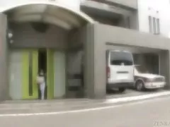 Dna in kosmat delo japonski 5