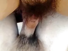 Dlakavi petelin