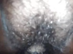 Prekleto indijski babica kosmato muco