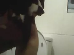 Panlok tankih sramne dlake skrita kamera