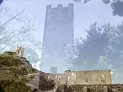 Tropskih začimb