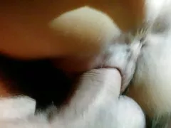 Sem
